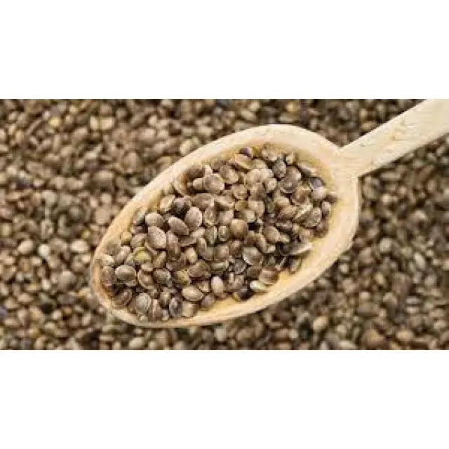 Cannabis Seeds and Confidence: When You Know You’re Doing It Right