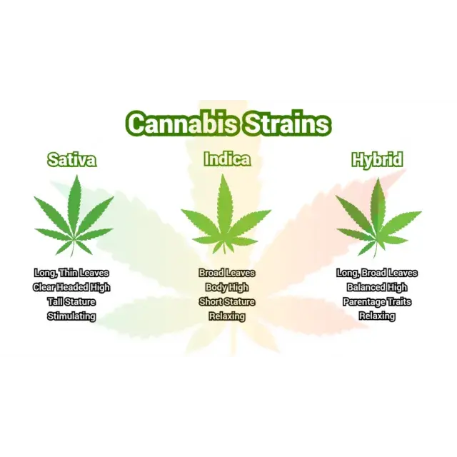 Enjoy Special Offers Cannabis Seeds Bank Discounts and Free Seeds.