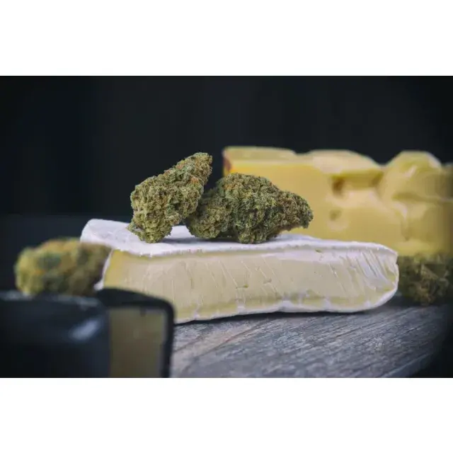 Finest Cheese Cannabis Seeds Strains at Discount Cannabis Seeds.