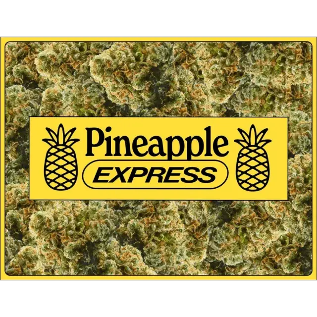 Remarkable Benefits and Features of Pineapple Express Cannabis Seeds.