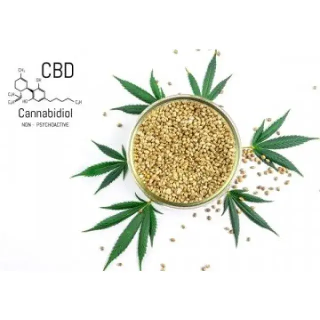 High-CBD Cannabis Seeds UK: Wellness-Focused Genetics for Collectors.