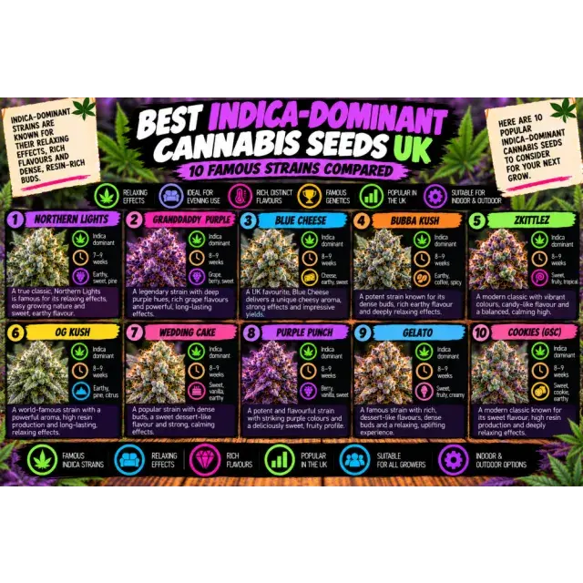 Cannabis Seeds: Best Indica-Dominant Cannabis Seeds UK: 10 Famous Strains Compared.