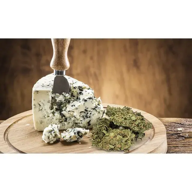 Cheese Cannabis Seeds Strains:The Best Selection at Discount Cannabis Seeds.