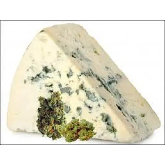 Variety of Cheese Cannabis Seeds Strains at Discount Cannabis Seeds