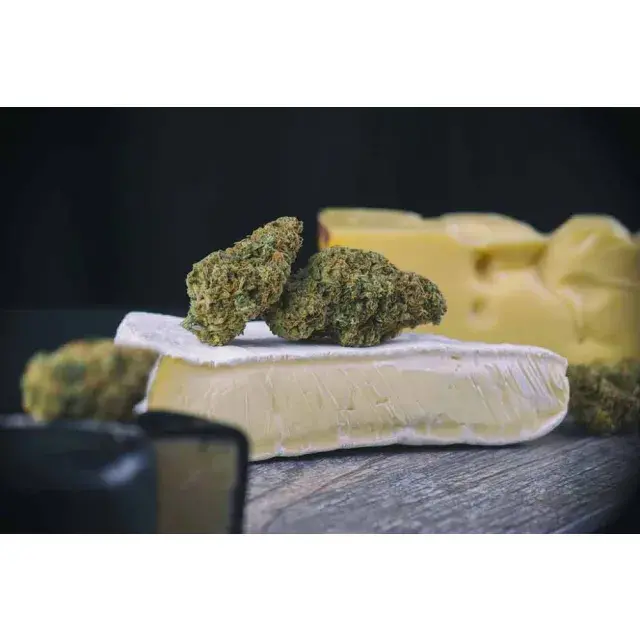 Cheese Strains for Relaxation, Creativity, and Beyond.