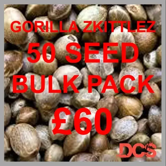 Gorilla Zkittlez Cannabis Seeds, Our Best-Selling 50-Seed Bulk Pack.