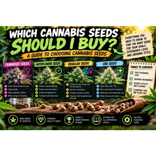 Cannabis Seeds: Which Cannabis Seeds Should I Buy? A Guide to Choosing Cannabis Seeds