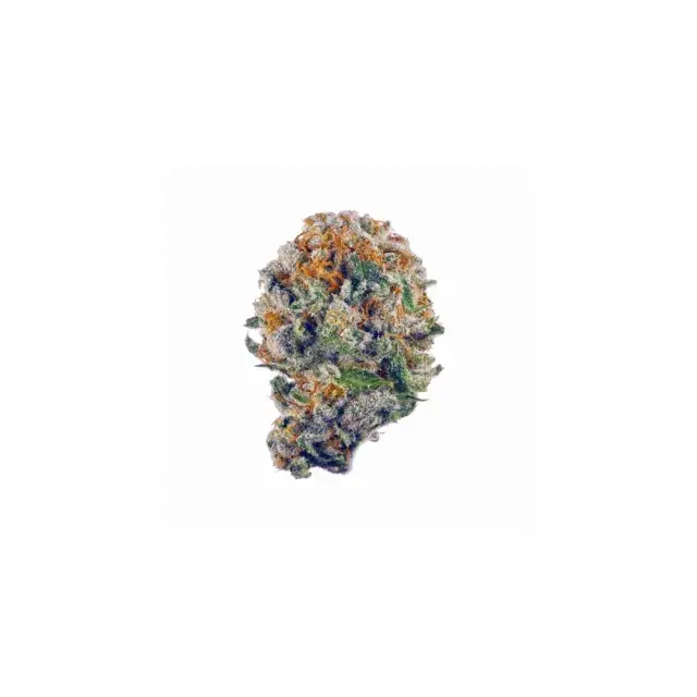 Dark Devil-Cannabissamen anbauen: Expertentipps und Tricks.