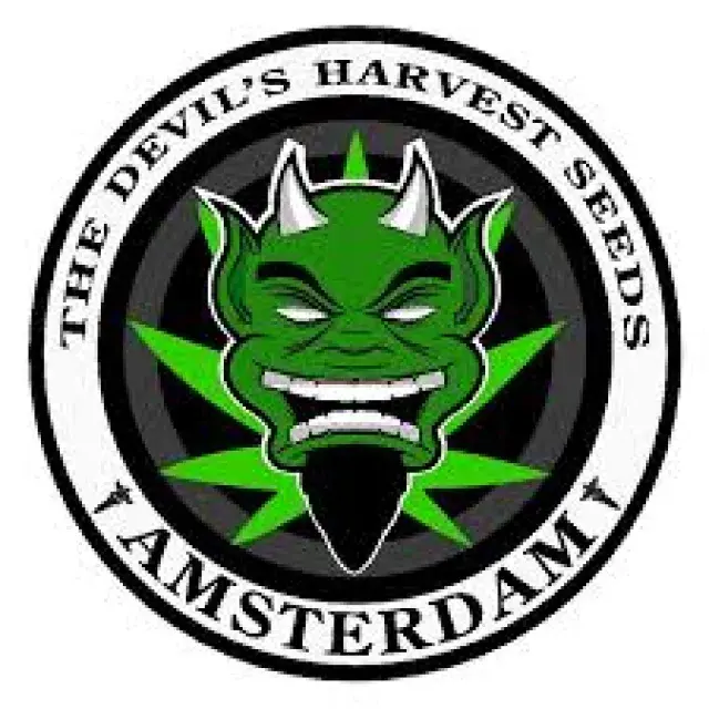 Devil's Harvest Cannabis Seeds | Discount Cannabis Seeds