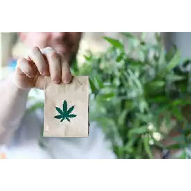Cannabis Seeds UK: A Beginner's Guide.