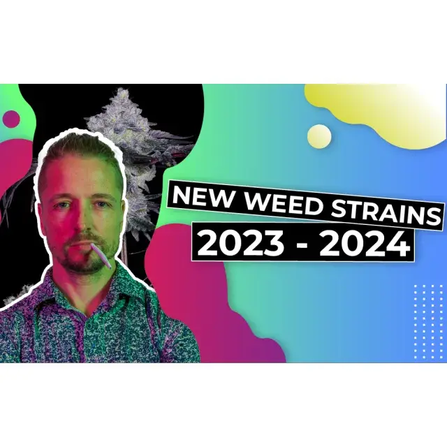 Shop Discount Cannabis Seeds for Your 2024 Cannabis Grow.