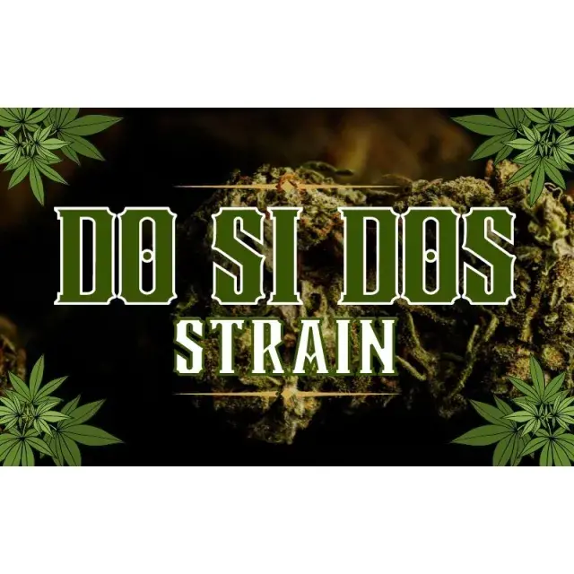 Uncover the Potent Delights of Do Si Dos Cannabis Seeds.
