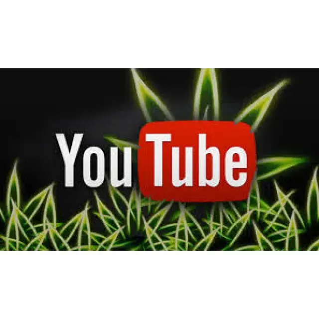 Cannabis Seeds - Cannabis News on YouTube - DCS.