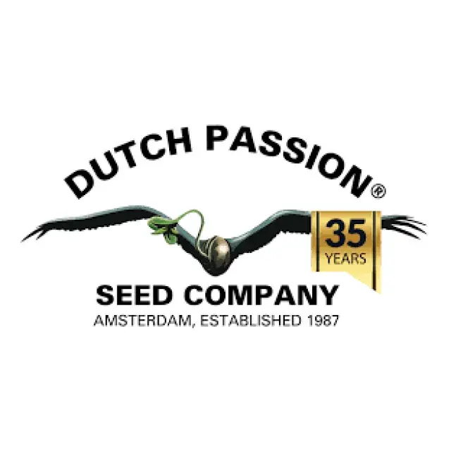 Dutch Passion Cannabis Seeds at Discount Cannabis Seeds