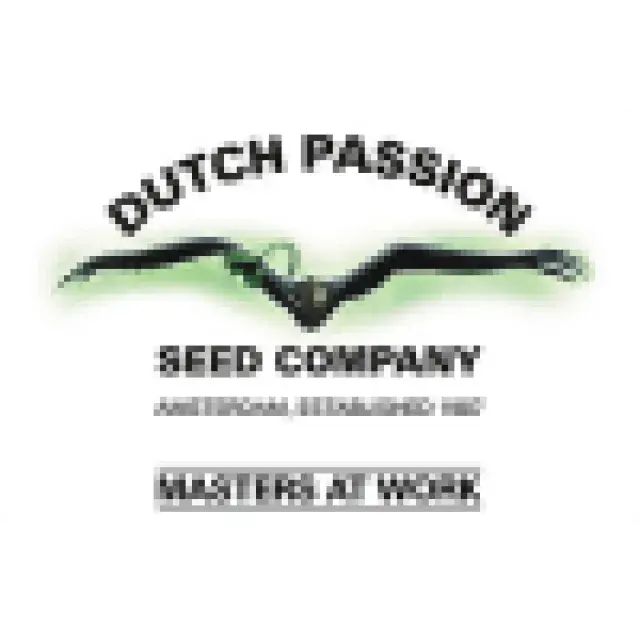 Dutch Passion Seeds Review - Discount Cannabis Seeds