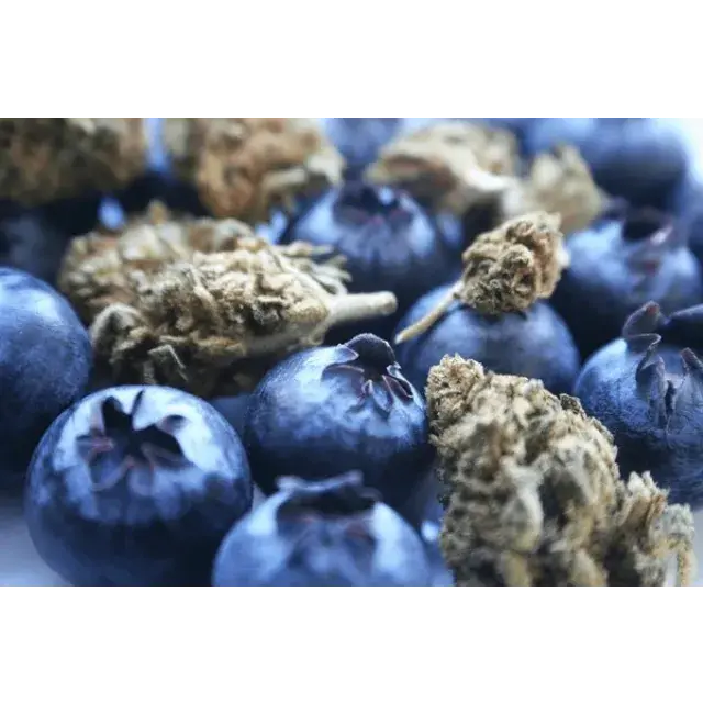 Exploring the Worth of Blueberry Cannabis Seeds.