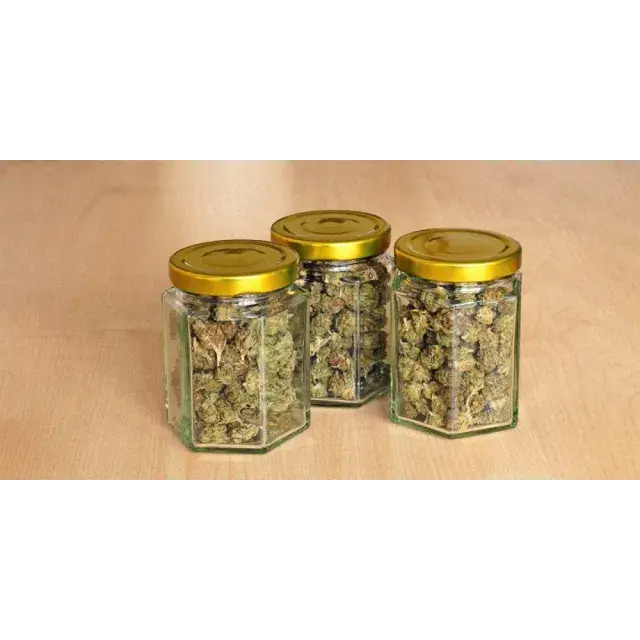 Do Cannabis Seeds Expire? (How to Store Them Properly)