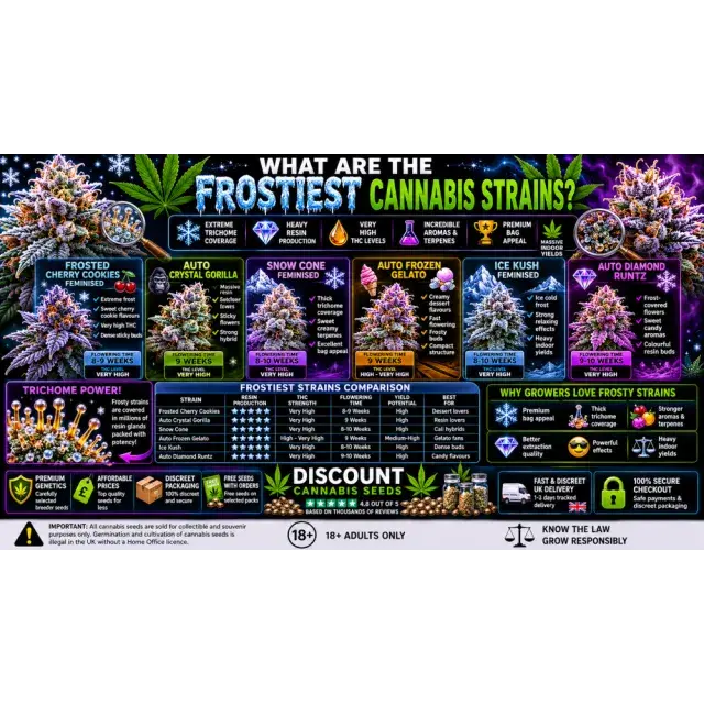 Cannabis Seeds: What Are the Frostiest Cannabis Strains?