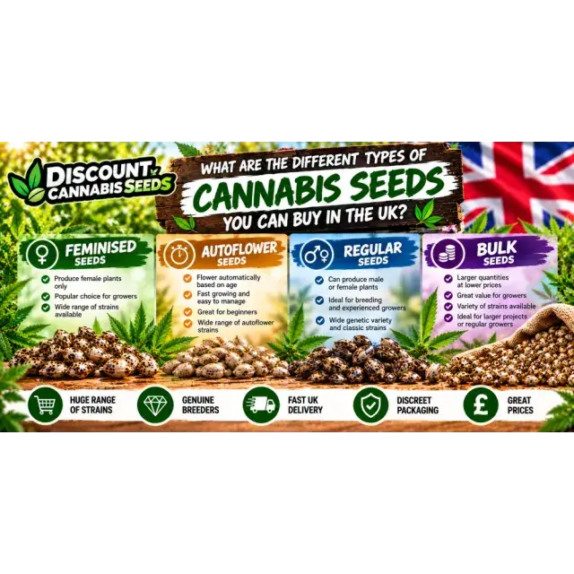 Cannabis Seeds: What Are the Different Types of Cannabis Seeds You Can Buy in the UK?