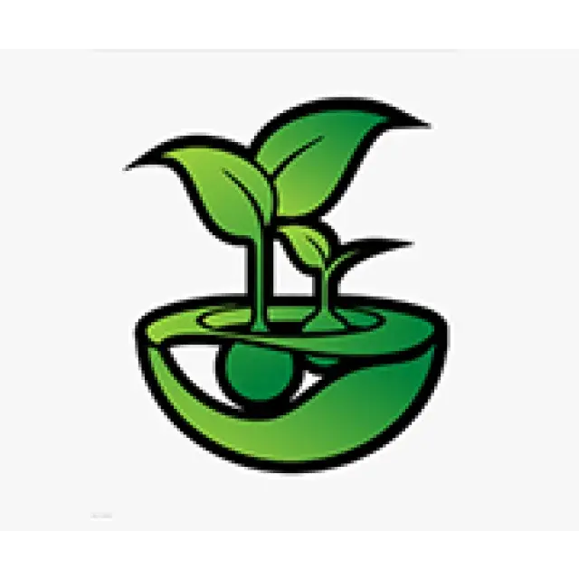 Feminized Seeds | Discount Cannabis Seeds