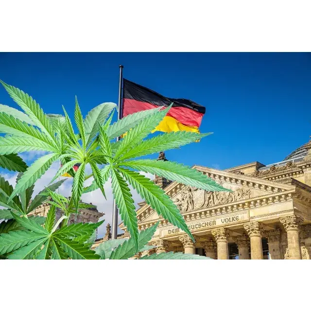 Is It Legal to Buy Cannabis Seeds Online in 2025?