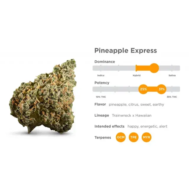 Unmatched Taste and Strength of Pineapple Express Cannabis Seeds.