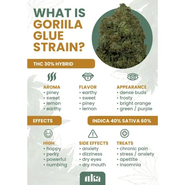 The Top Gorilla Cannabis Seeds Strains by Discount Cannabis Seeds.