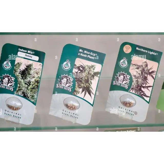 Unlocking Potential: Single Seed Packs – Why One Is Sometimes All You Need at Discount Cannabis Seeds.