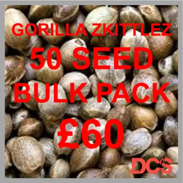 Gorilla Zkittles: The Ultimate 50 Bulk Pack of Cannabis Seeds.