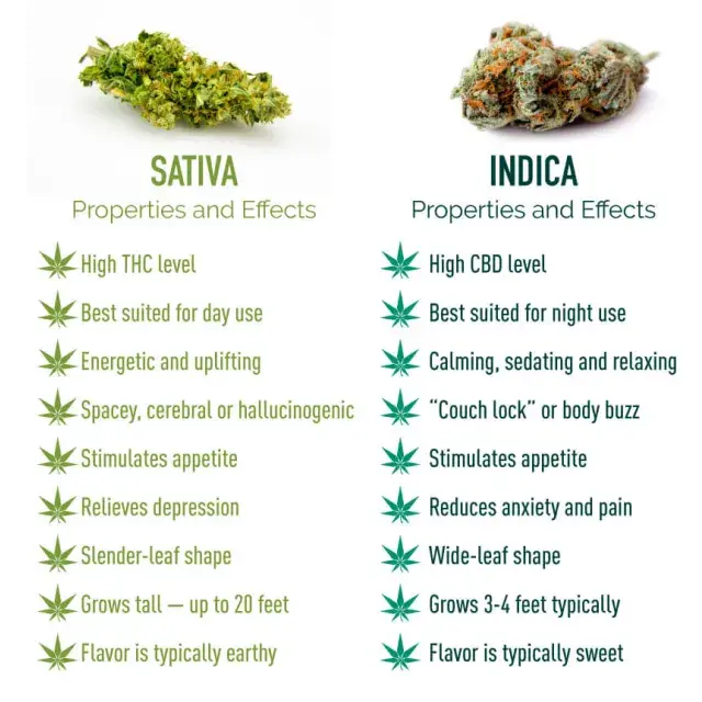 Cannabis Seeds - Indica VS Sativa - Discount Cannabis Seeds.