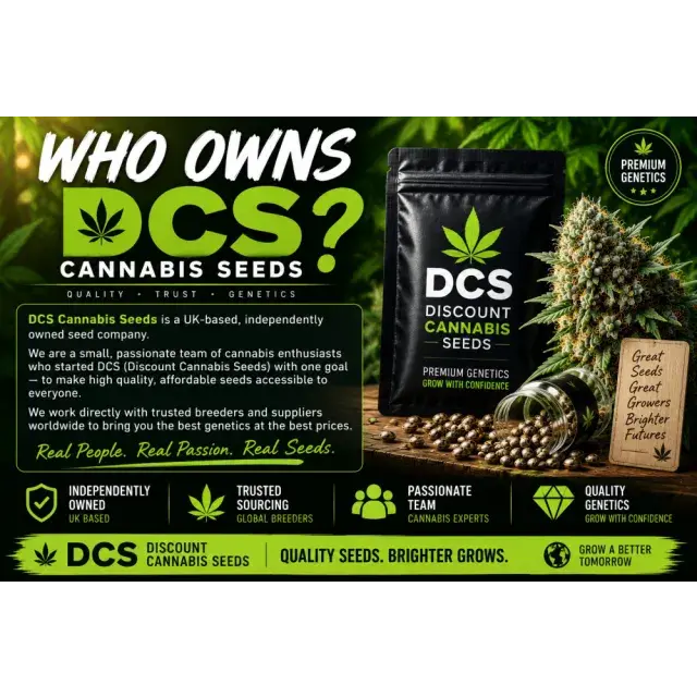 Cannabis Seeds: Who Owns DCS Cannabis Seeds?