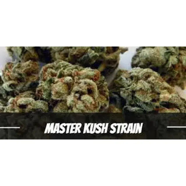 Essential Tips for Successful Kush Cannabis Seeds Cultivation.
