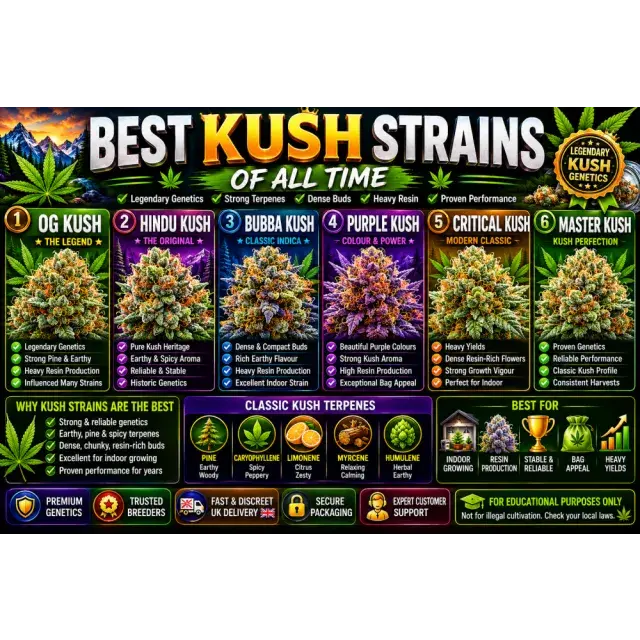 Cannabis Seeds: The Best Kush Strains of All Time.