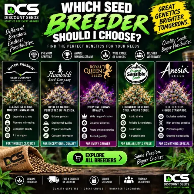 Cannabis Seeds: Which Cannabis Seed Breeder Should I Choose?