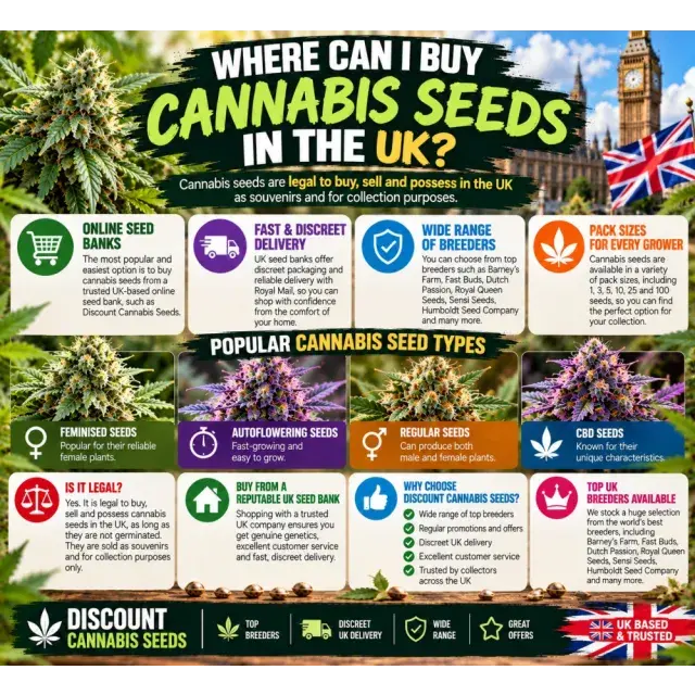 Cannabis Seeds: Where Can I Buy Cannabis Seeds in the UK?