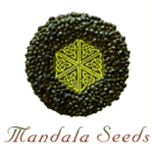 Mandala Seeds | Discount Cannabis Seeds