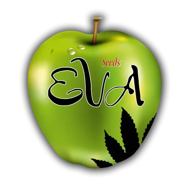 Eva Female Seeds | Discount Cannabis Seeds