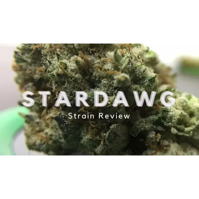 Discover the Benefits of Growing Stardawg Cannabis Seeds.