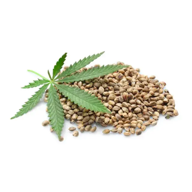 Cannabis Seeds Chronic Pain Relief: How to Buy Medical Cannabis Seeds.