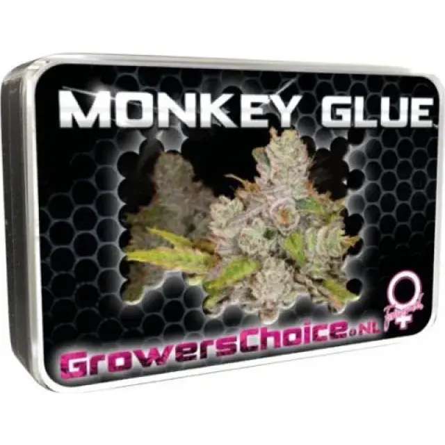 Are Monkey Glue Cannabis Seeds Worth Trying?
