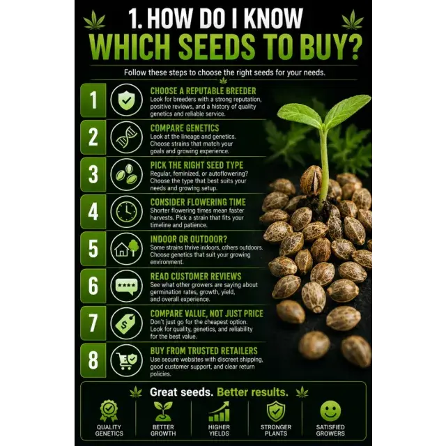 Cannabis Seeds: How Do I Know Which Cannabis Seeds to Buy?