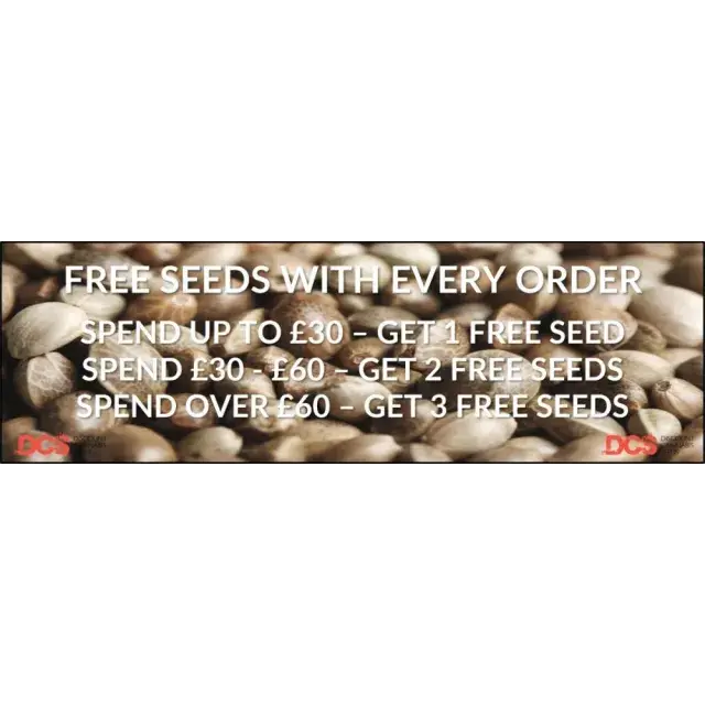 Maximizing the Benefits of Your Free Cannabis Seeds.
