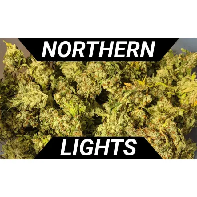 Customer Reviews with Northern Lights Cannabis Seeds.