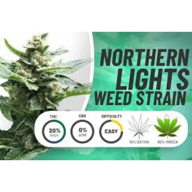 Echte Geschichten von Kunden mit Northern Lights Cannabissamen.
