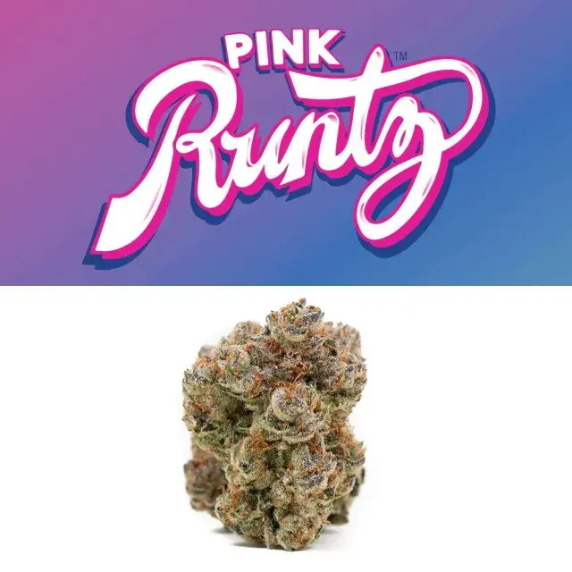 Comparing Pink Runtz Cannabis Seeds to Other Popular Strains.