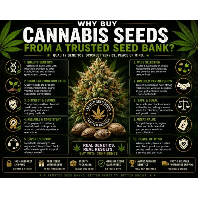 Cannabis Seeds: Why Buy Cannabis Seeds from a Trusted Seed Bank?