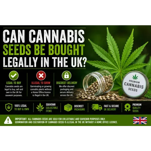 Cannabis Seeds: Can Cannabis Seeds Be Bought Legally in the UK?