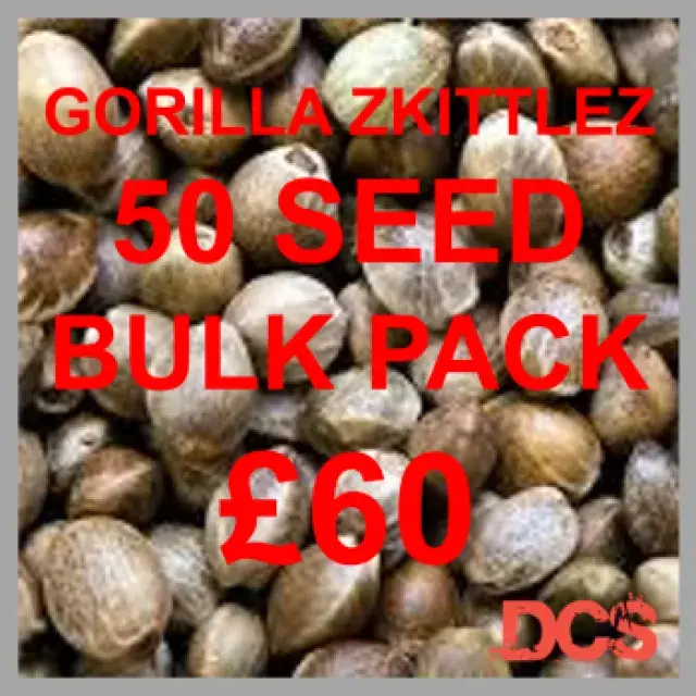 Uncover the Best Deals of the Week on Cannabis Seeds at Discount Cannabis Seeds.