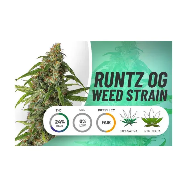 Unleashing the Potent Power of Runtz Cannabis Seeds Strains.