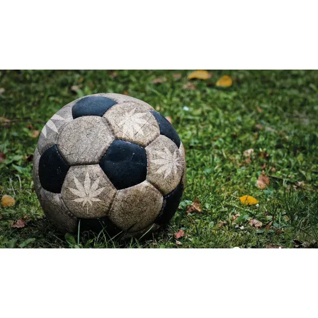 The Winning Lineup: Football-Themed Cannabis Seeds.